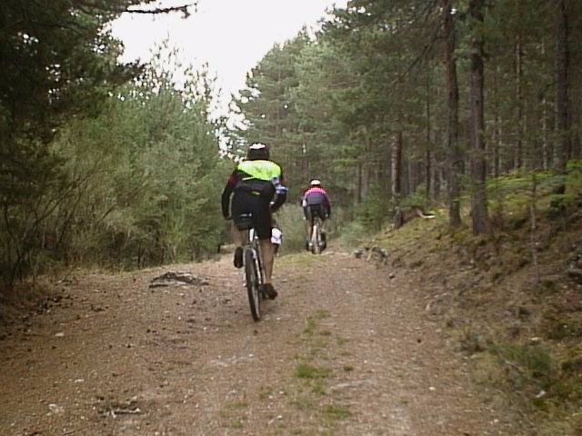 caminopaular2.jpg (68443 bytes)